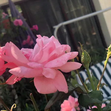 Pri Germanetsa 3* Pavel Banya