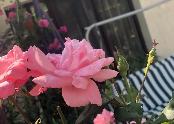 Pri Germanetsa 3* Pavel Banya