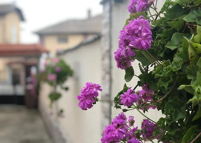 Pri Germanetsa Guest house Pavel Banya